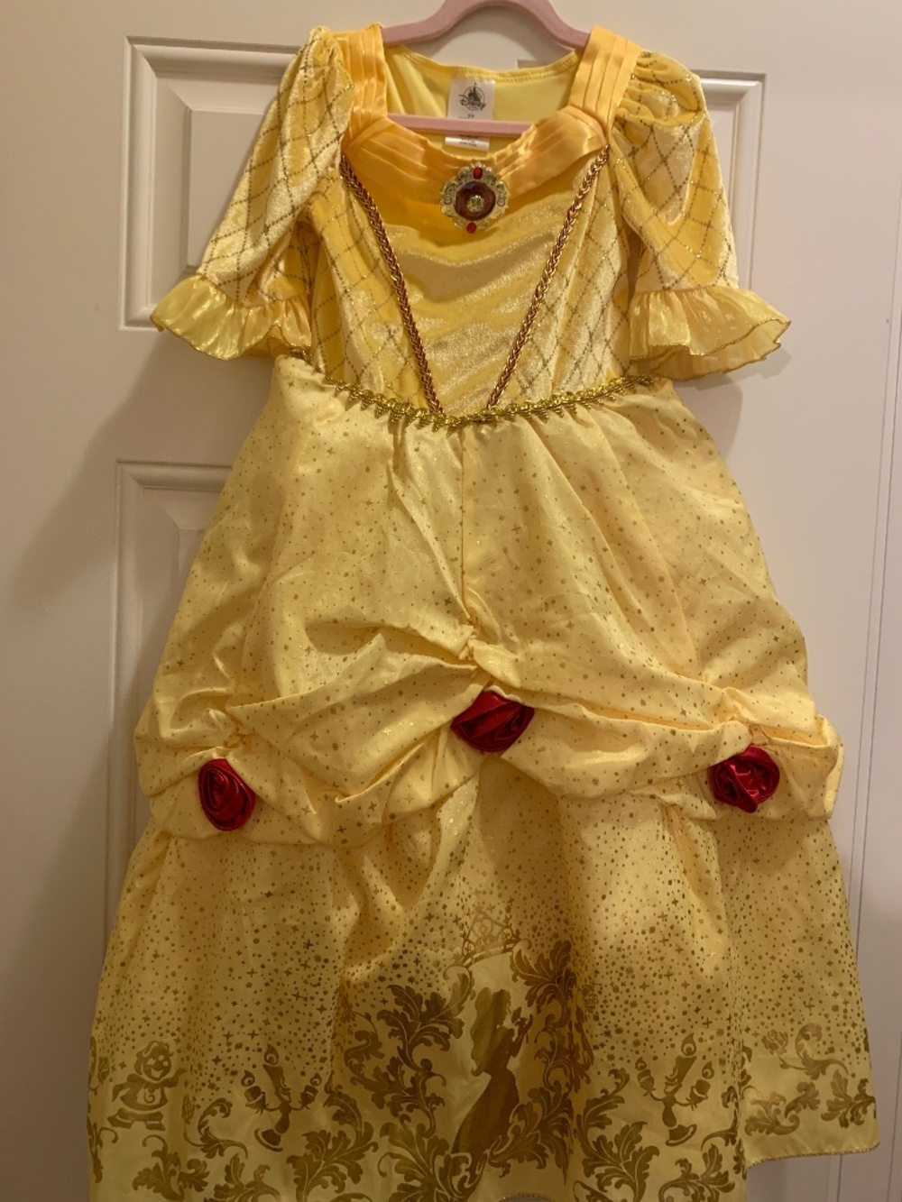 Princess Belle Disney dress